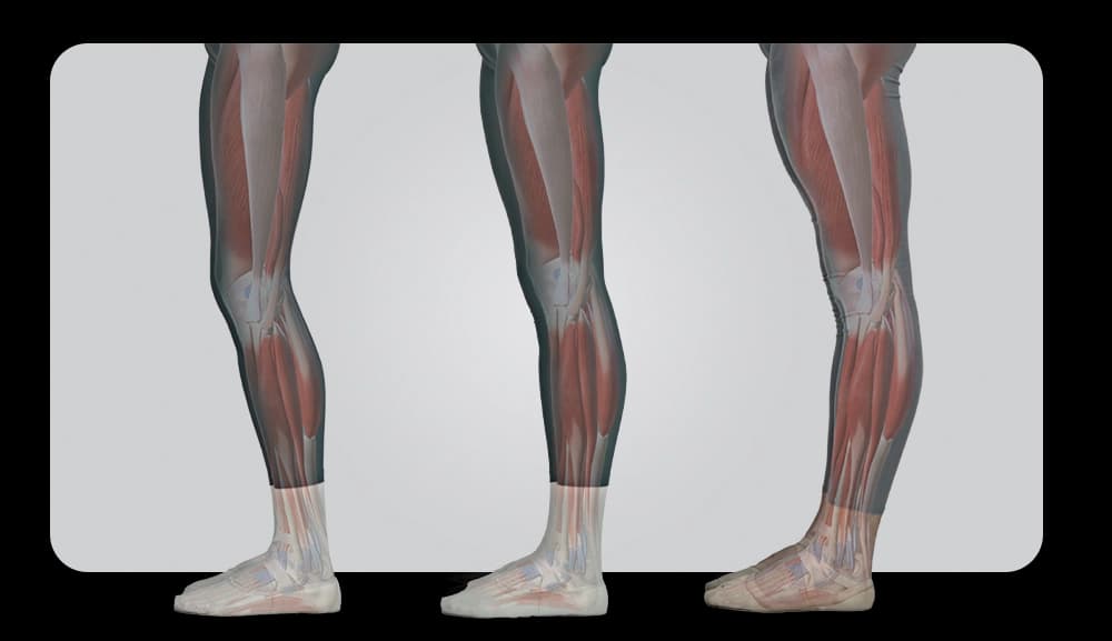 Approccio scientifico Trainer SID Postural